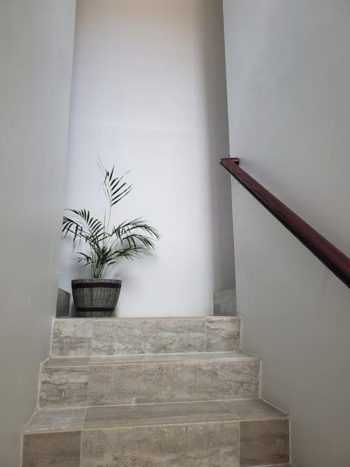 'The Solace' New Luxury Modern 1Bed 1Bath Apt. Portmore Exteriör bild